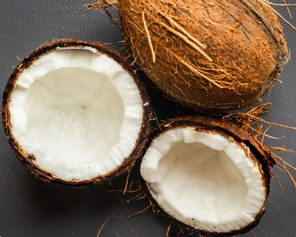 coconut