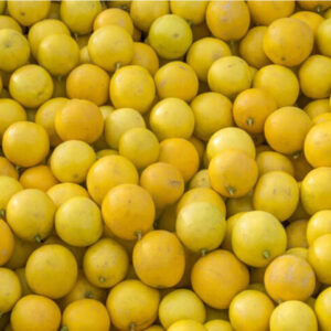 lemon